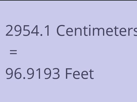 2954.1 CM TO FEET