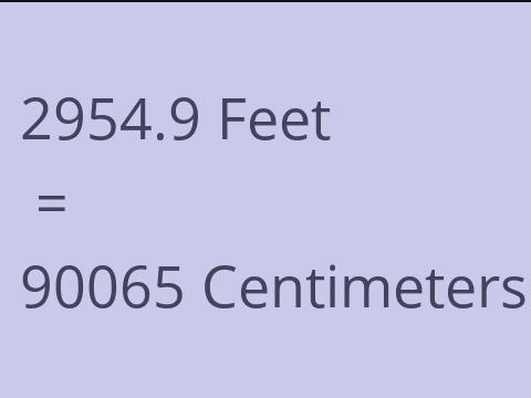 2954.9 FEET TO CM