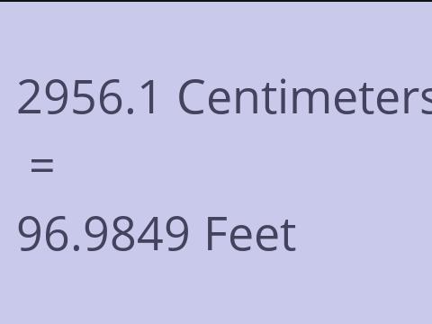 2956.1 CM TO FEET