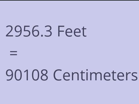 2956.3 FEET TO CM