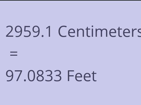 2959.1 CM TO FEET
