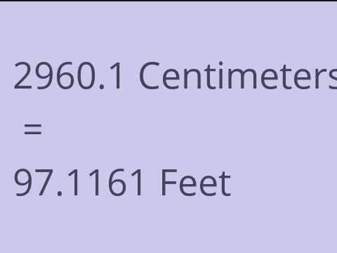 2960.1 CM TO FEET
