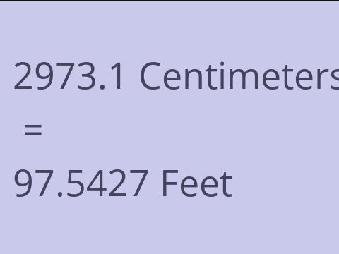 2973.1 CM TO FEET