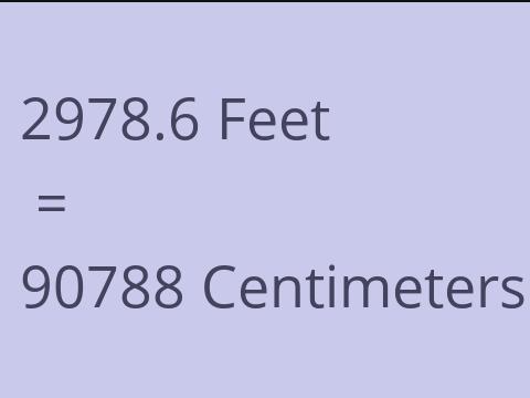 2978.6 FEET TO CM