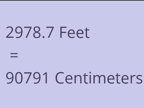 2978.7 FEET TO CM