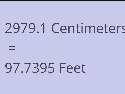 2979.1 CM TO FEET
