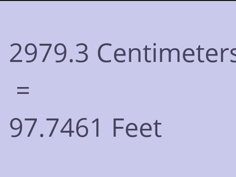 2979.3 CM TO FEET