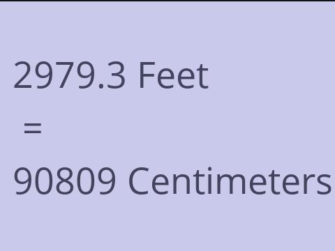 2979.3 FEET TO CM