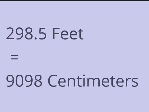 298.5 FEET TO CM