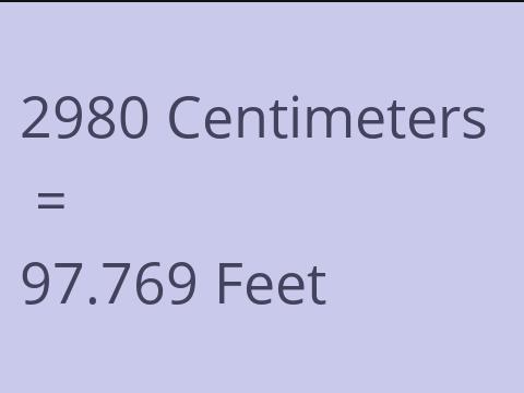 2980 CM TO FEET