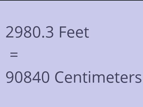 2980.3 FEET TO CM
