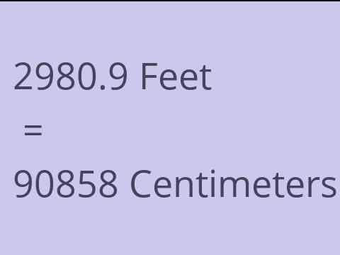 2980.9 FEET TO CM