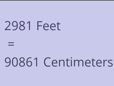 2981 FEET TO CM