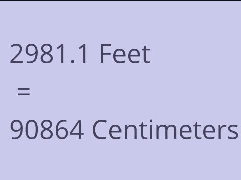 2981.1 FEET TO CM