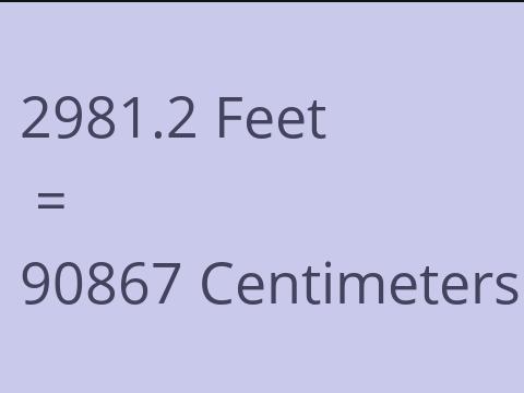 2981.2 FEET TO CM