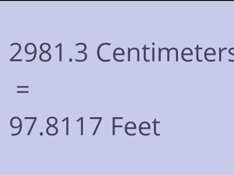 2981.3 CM TO FEET