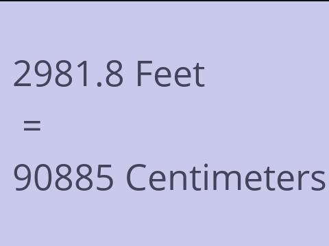 2981.8 FEET TO CM
