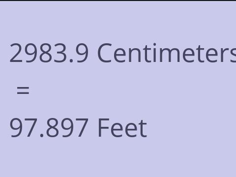 2983.9 CM TO FEET