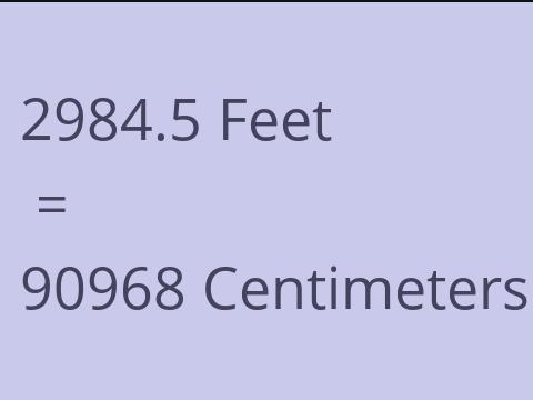 2984.5 FEET TO CM