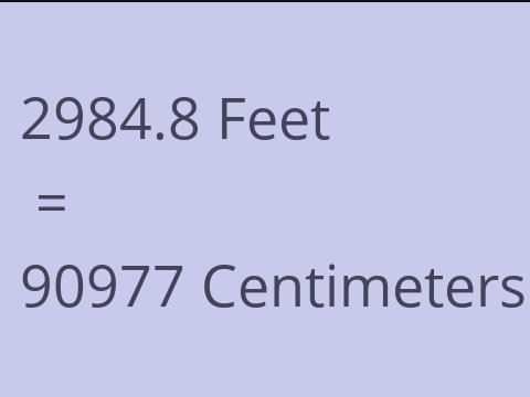 2984.8 FEET TO CM