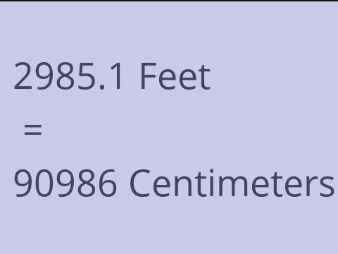 2985.1 FEET TO CM