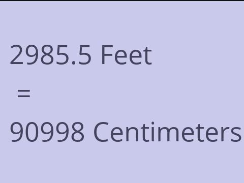 2985.5 FEET TO CM