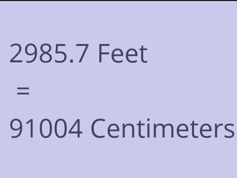 2985.7 FEET TO CM