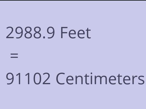 2988.9 FEET TO CM
