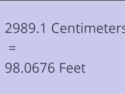2989.1 CM TO FEET