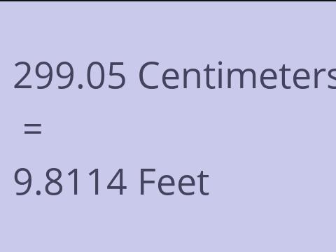 299.05 CM TO FEET