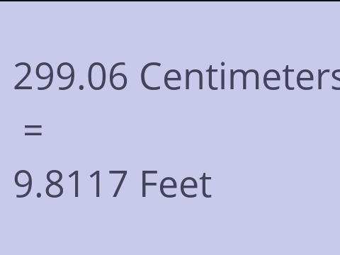 299.06 CM TO FEET