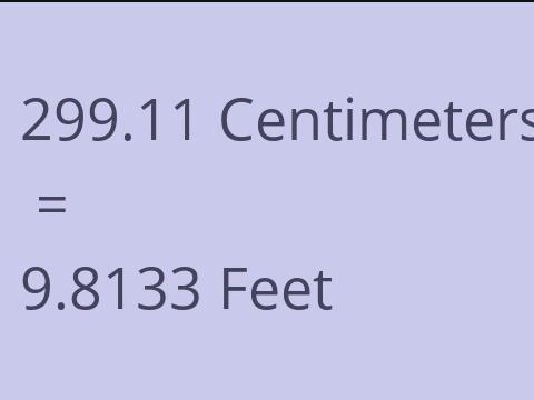 299.11 CM TO FEET