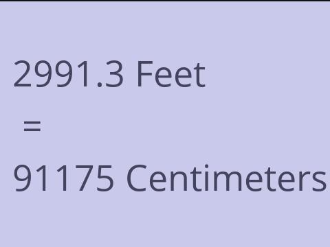 2991.3 FEET TO CM
