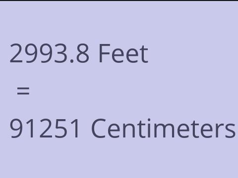 2993.8 FEET TO CM