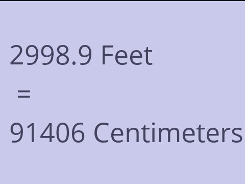 2998.9 FEET TO CM
