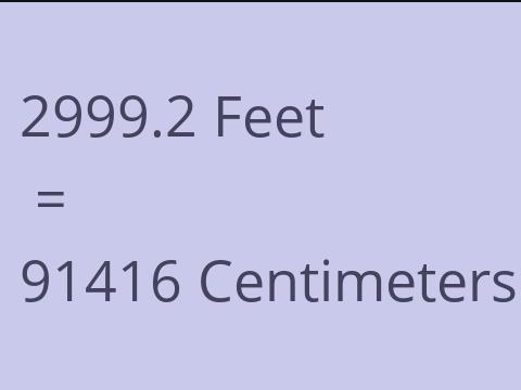 2999.2 FEET TO CM