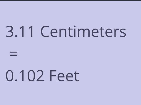 3.11 CM TO FEET