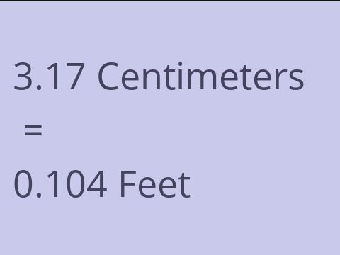 3.17 CM TO FEET