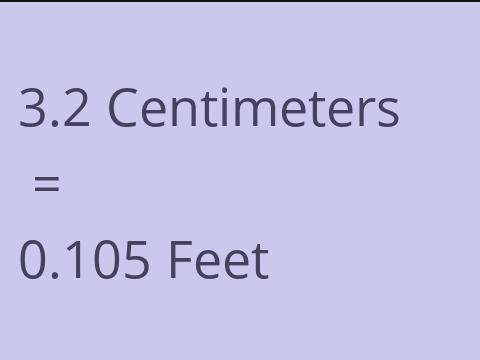 3.2 CM TO FEET