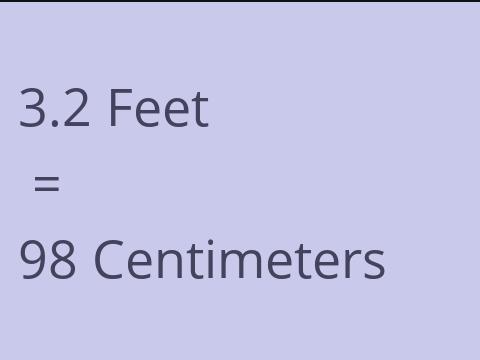 3.2 FEET TO CM