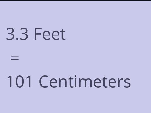 3.3 FEET TO CM