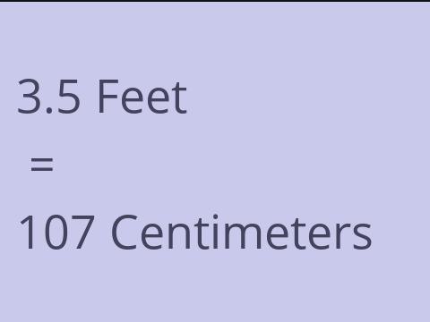 3.5 FEET TO CM