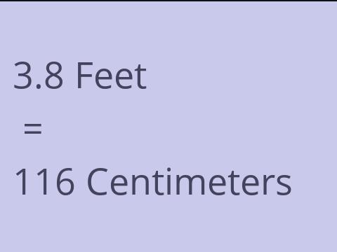 3.8 FEET TO CM