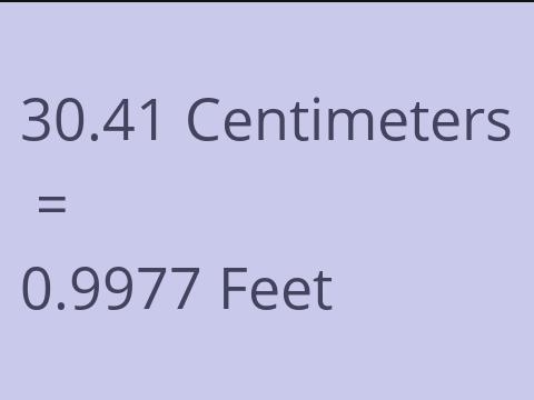 30.41 CM TO FEET