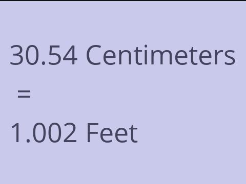 30.54 CM TO FEET