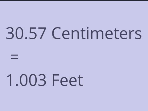 30.57 CM TO FEET