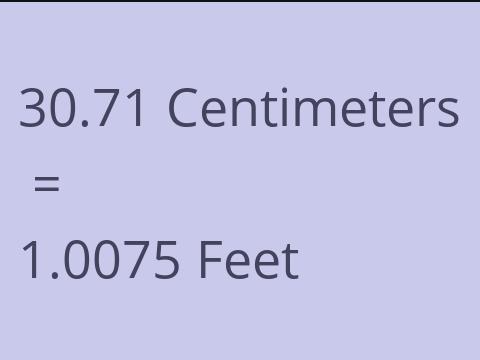 30.71 CM TO FEET