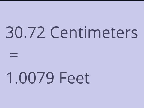 30.72 CM TO FEET