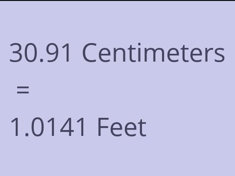 30.91 CM TO FEET