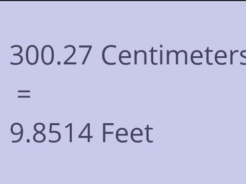 300.27 CM TO FEET